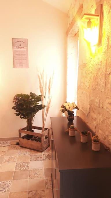 שינון Logement Neuf Et Cosy Proche Centre Ville מראה חיצוני תמונה